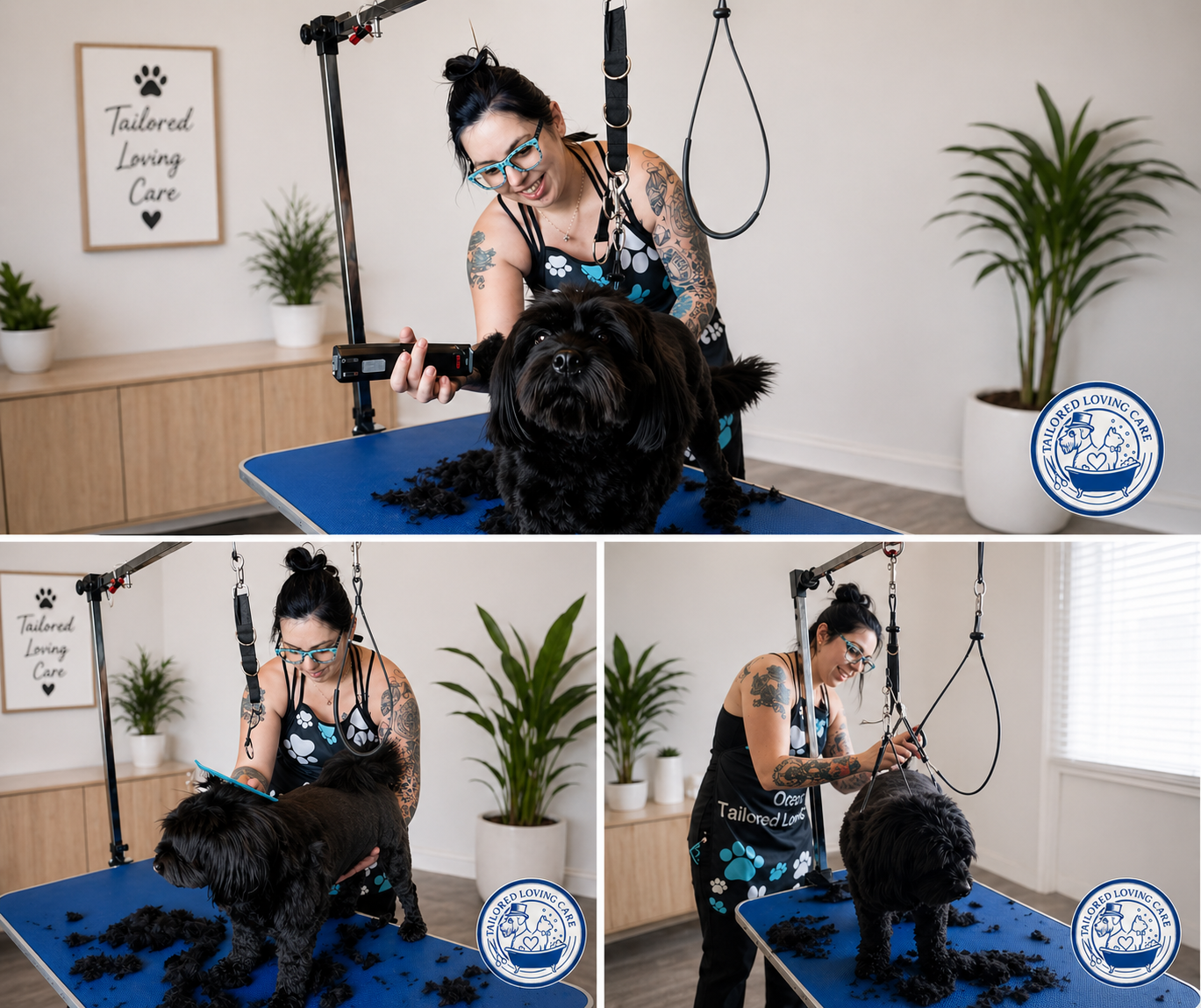 Oreana grooming a pet